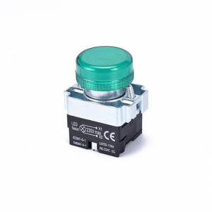 pushbutton led push switch light switch neon indicator LAY5-BV63